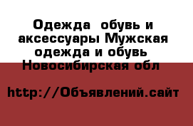 Одежда, обувь и аксессуары Мужская одежда и обувь. Новосибирская обл.